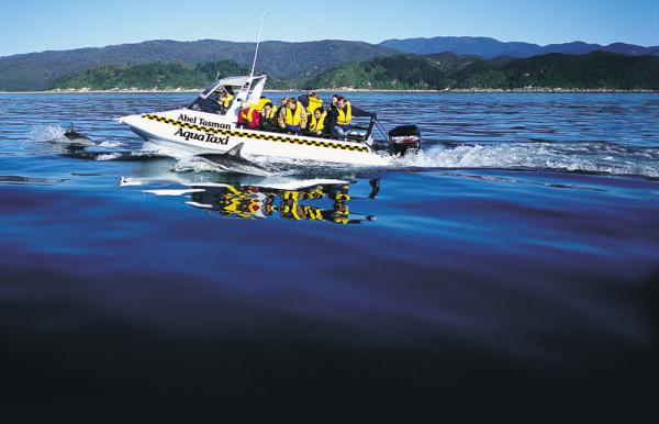 Aquataxi - Nelson Accommodation Special Deal Aquataxi surrounded by Dolphins - guests from Nelson accommodation