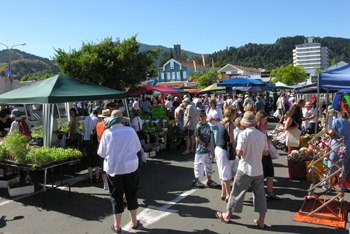 Arts at Nelson Saturday Market, Nelson Backpackers